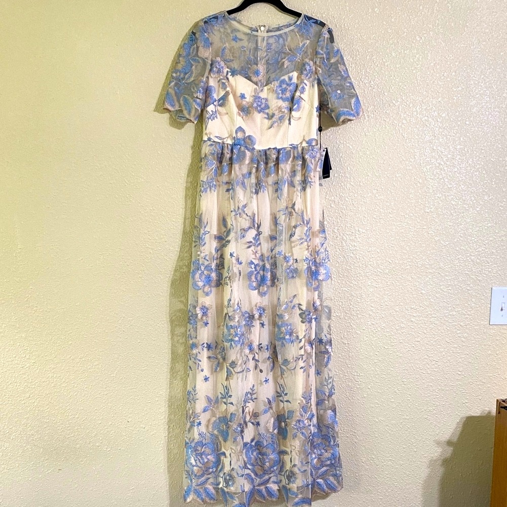 NWT Adrianna Papell Long Illusion Embellished Mesh Gown Size 4 - Picture 2 of 15